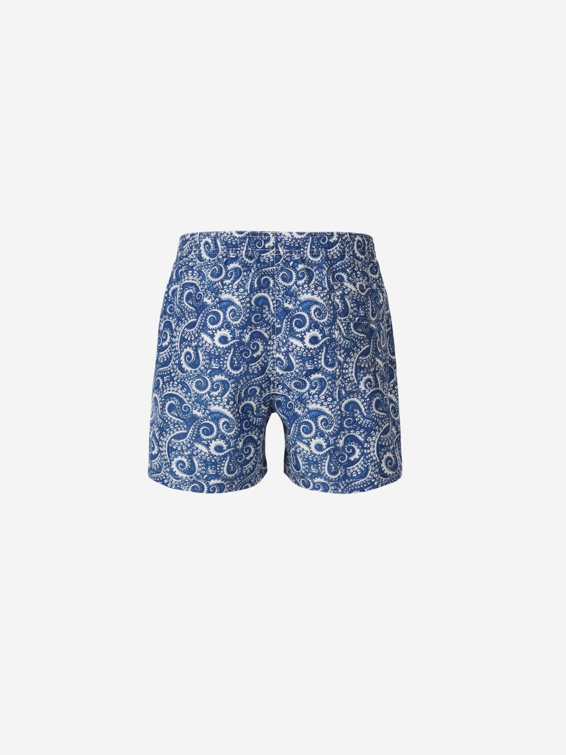 Paisley Motif Swim Shorts